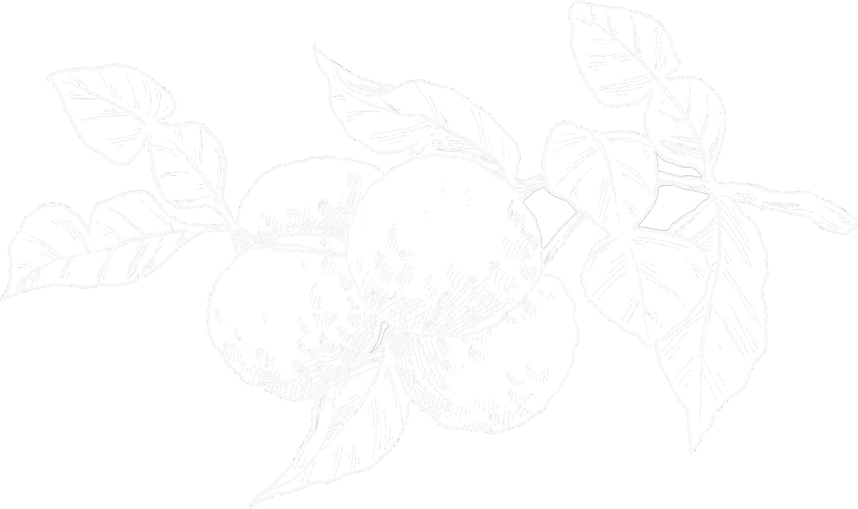 lemons
